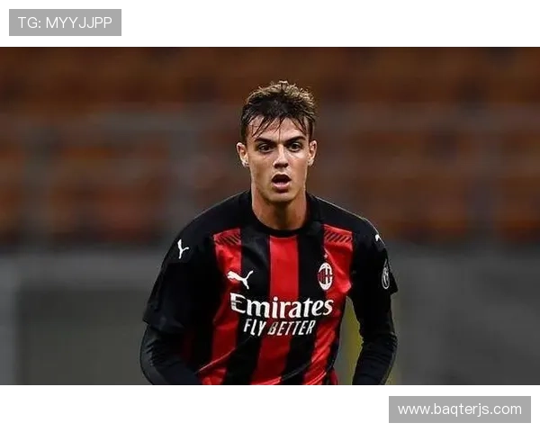 马尔蒂尼足球美学 马尔蒂尼足球美学